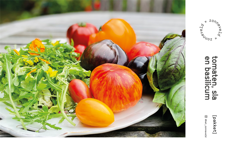 Tomaten, sla en basilicum (pakket) Het Zonneveld Webshop